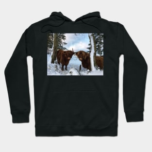 Scottish Highland Cattle Cow and Calf 1619 Hoodie